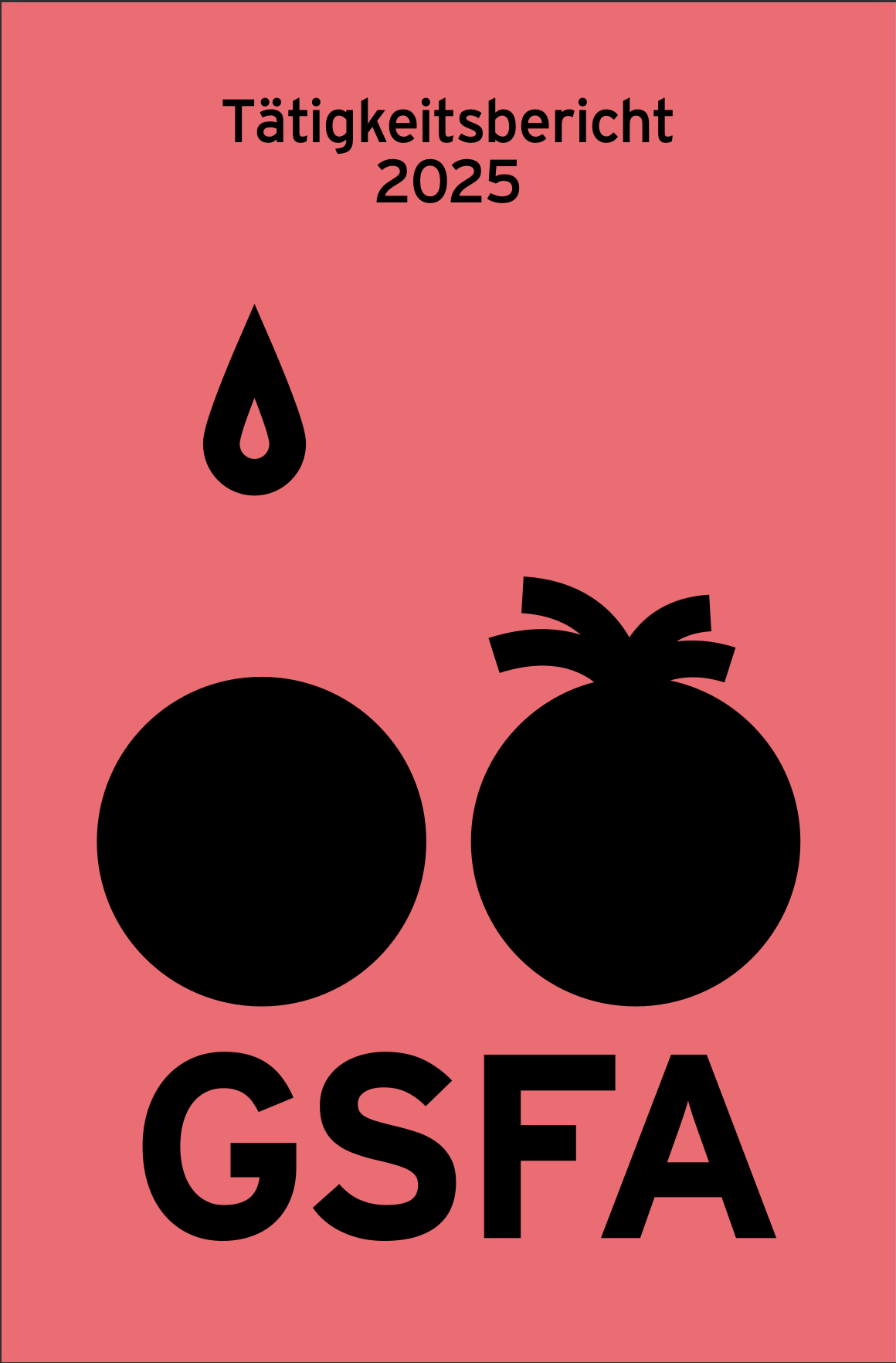 Swissanimation | GSFA – Jahresbericht 2025